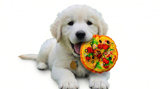 Fast Food Plush Squeaky Dog Toy