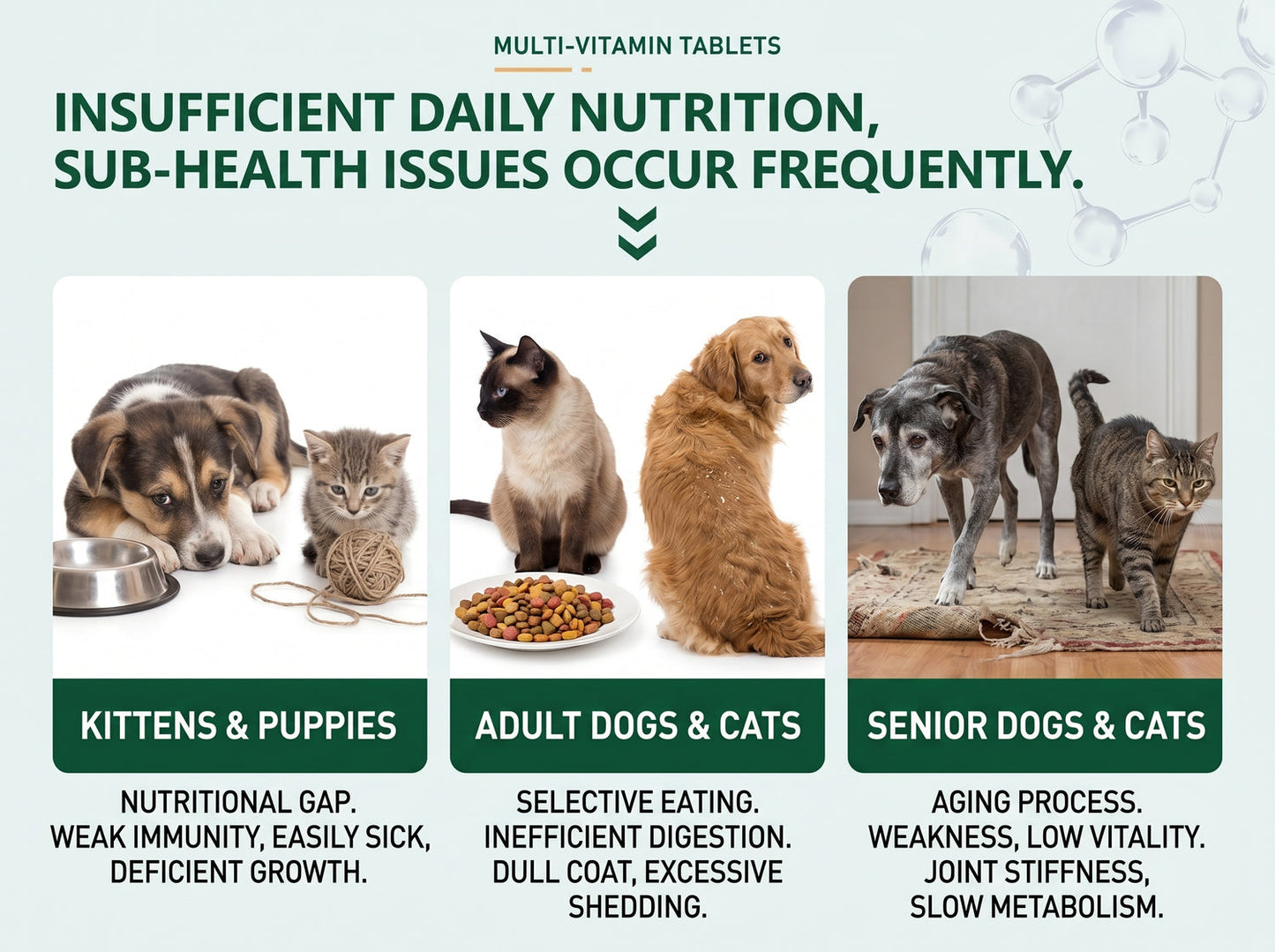 Multifunctional Pet Vitamins for Dogs & Cats