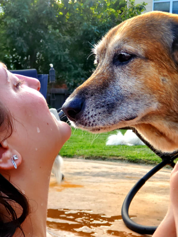 Pet Hygiene & Care
