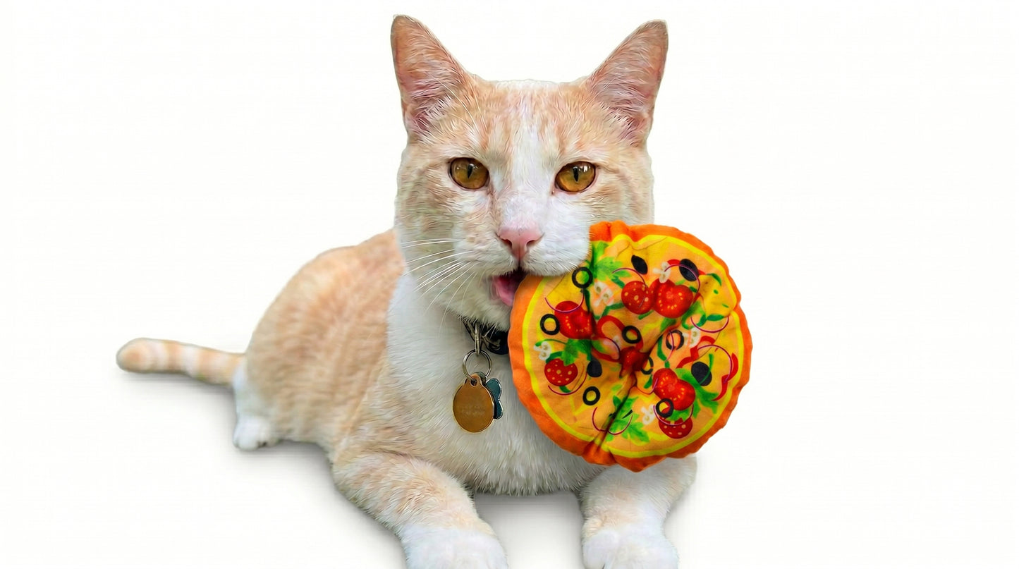 Fast Food Plush Squeaky Dog Toy