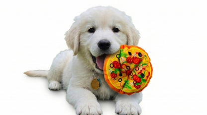 Fast Food Plush Squeaky Dog Toy