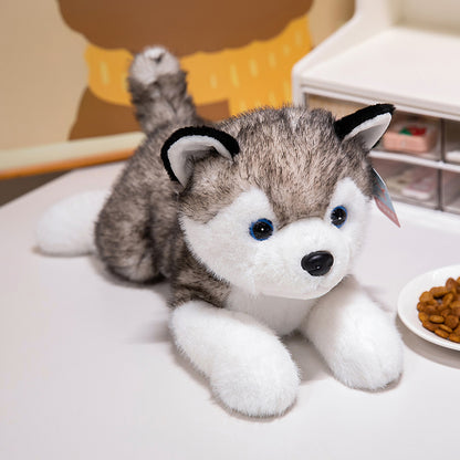 Cute Husky Plush Toy – Soft Erha Dog Doll