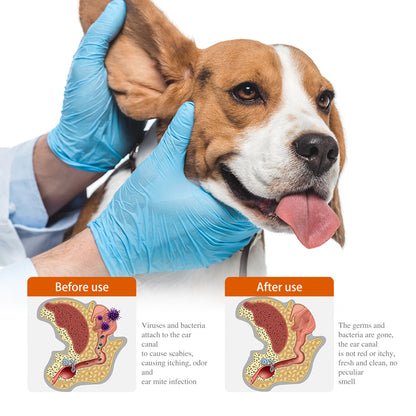 YEGBONG Pet Ear Drops for Cats & Dogs