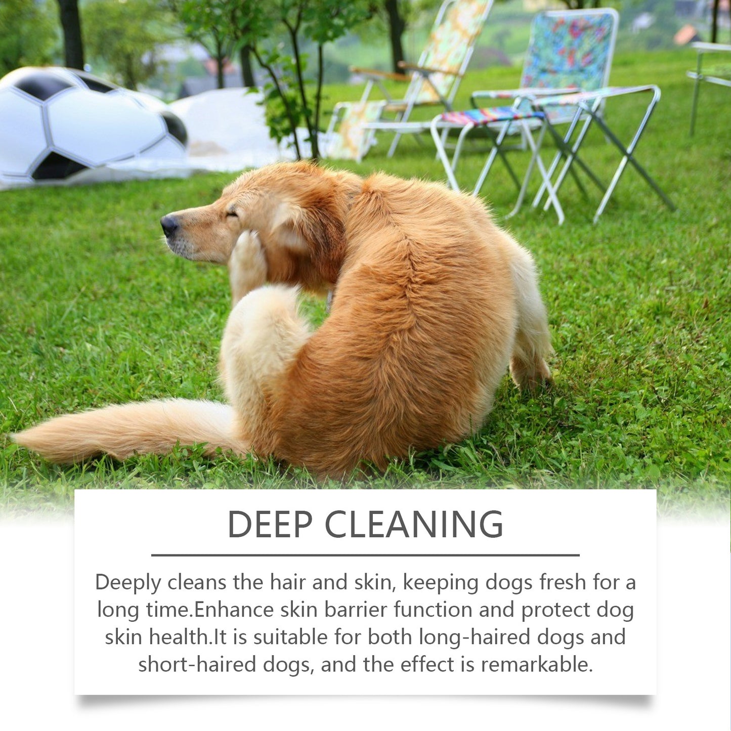 Yegbong Gentle Dog Shampoo