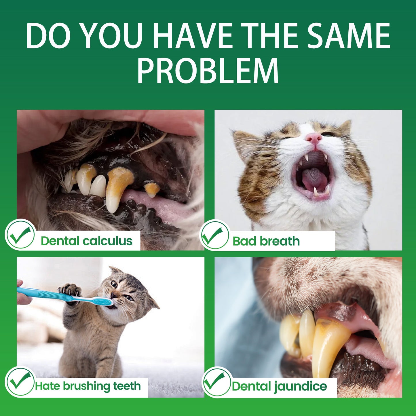 Dog Teeth Cleaning Powder – Green Tea Pet Dental Care Tooth Powder