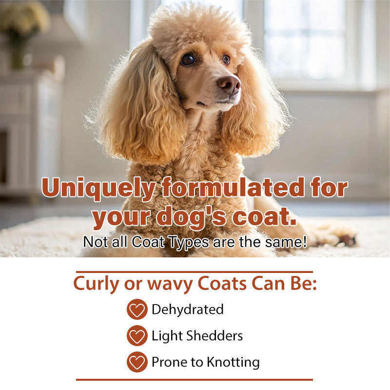 Premium Deodorizing Dog Shampoo for Poodles & Teddy Breeds
