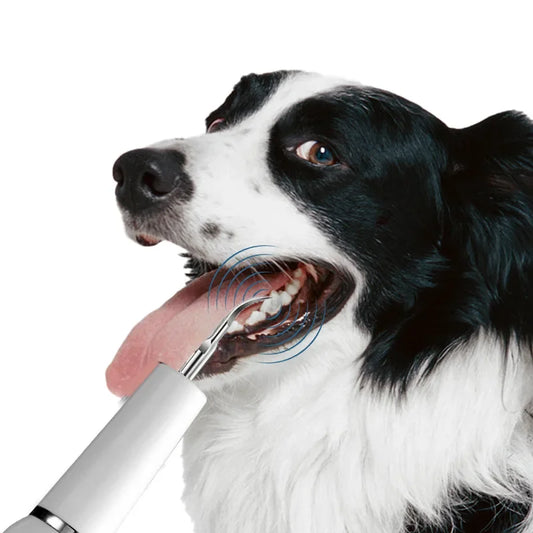 Dog Dental Calculus Remover Tool – Pet Teeth Cleaning Ultrasonic Water Toothpick