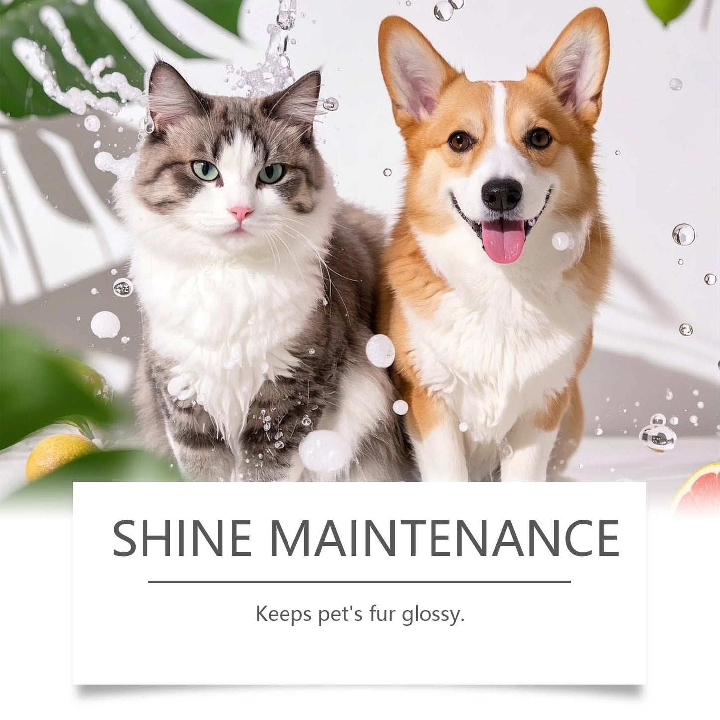 EelJoy Gentle Pet Shampoo