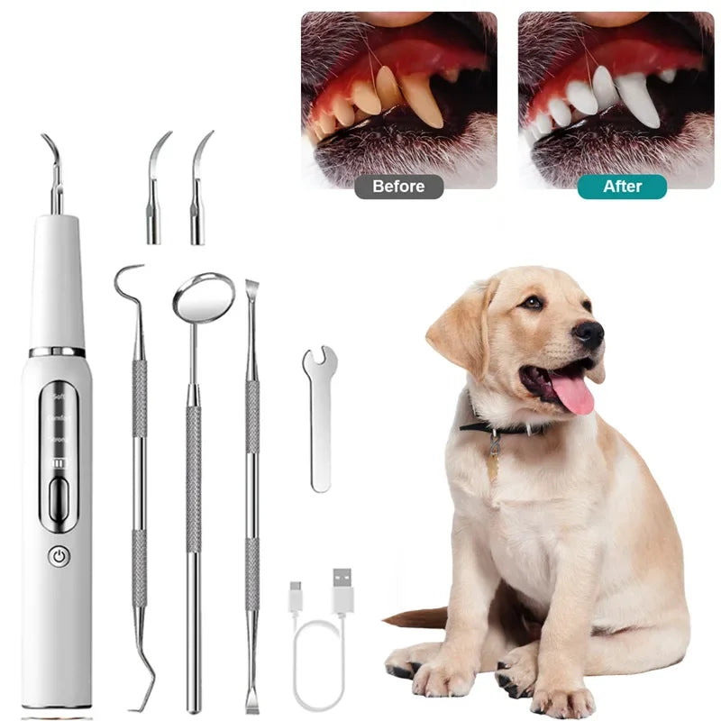 Dog Dental Calculus Remover Tool – Pet Teeth Cleaning Ultrasonic Water Toothpick