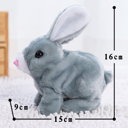 Plush Electric Pet Dog Toy