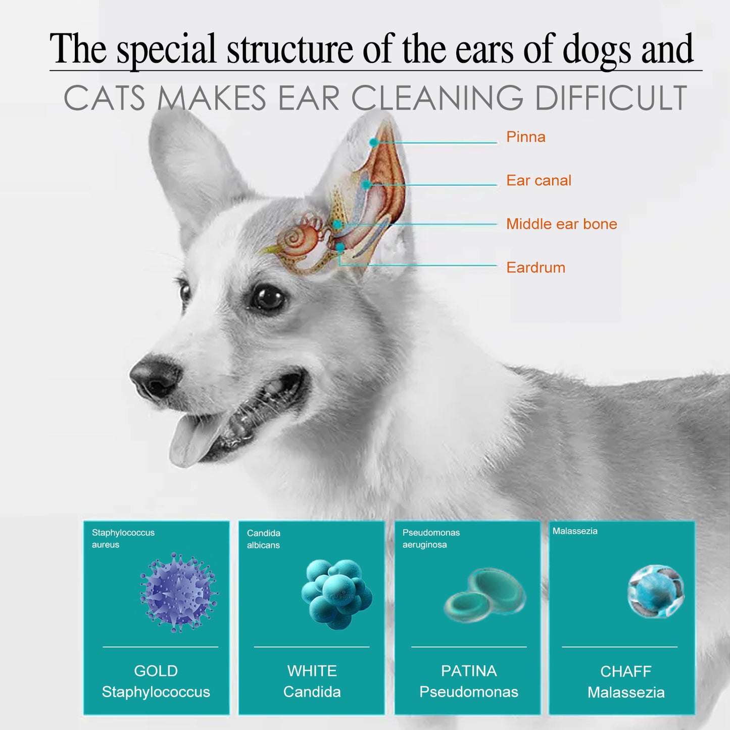 YEGBONG Pet Ear Drops for Cats & Dogs