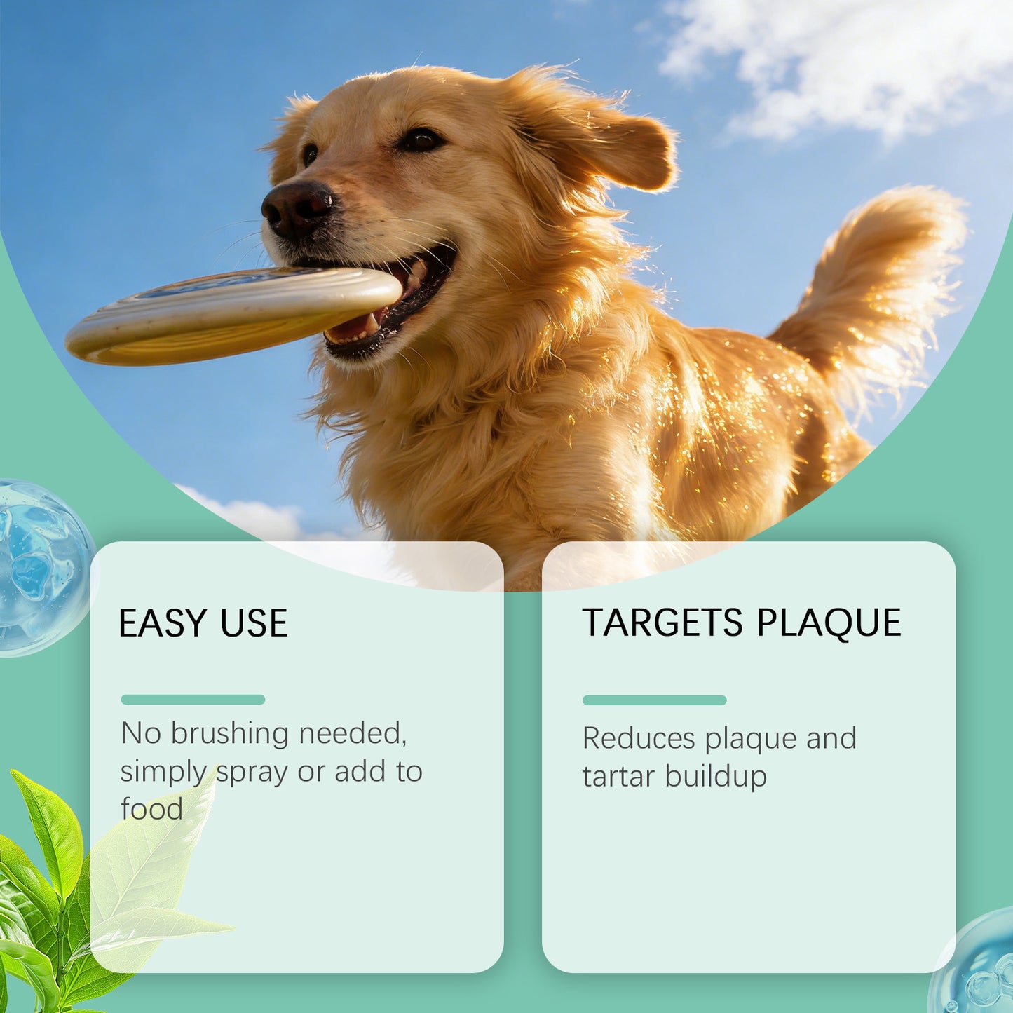 Pet Oral Care Spray for Dogs & Cats