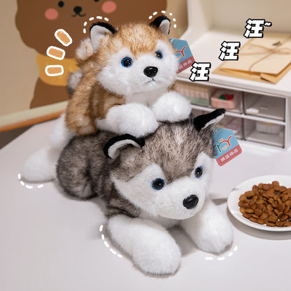 Cute Husky Plush Toy – Soft Erha Dog Doll