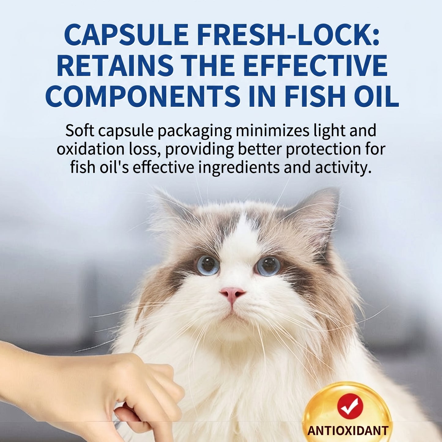 Pet Fish Oil Soft Capsules for Dogs & Cats