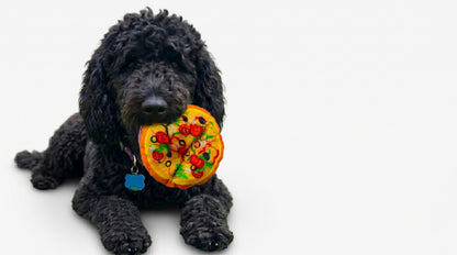 Fast Food Plush Squeaky Dog Toy