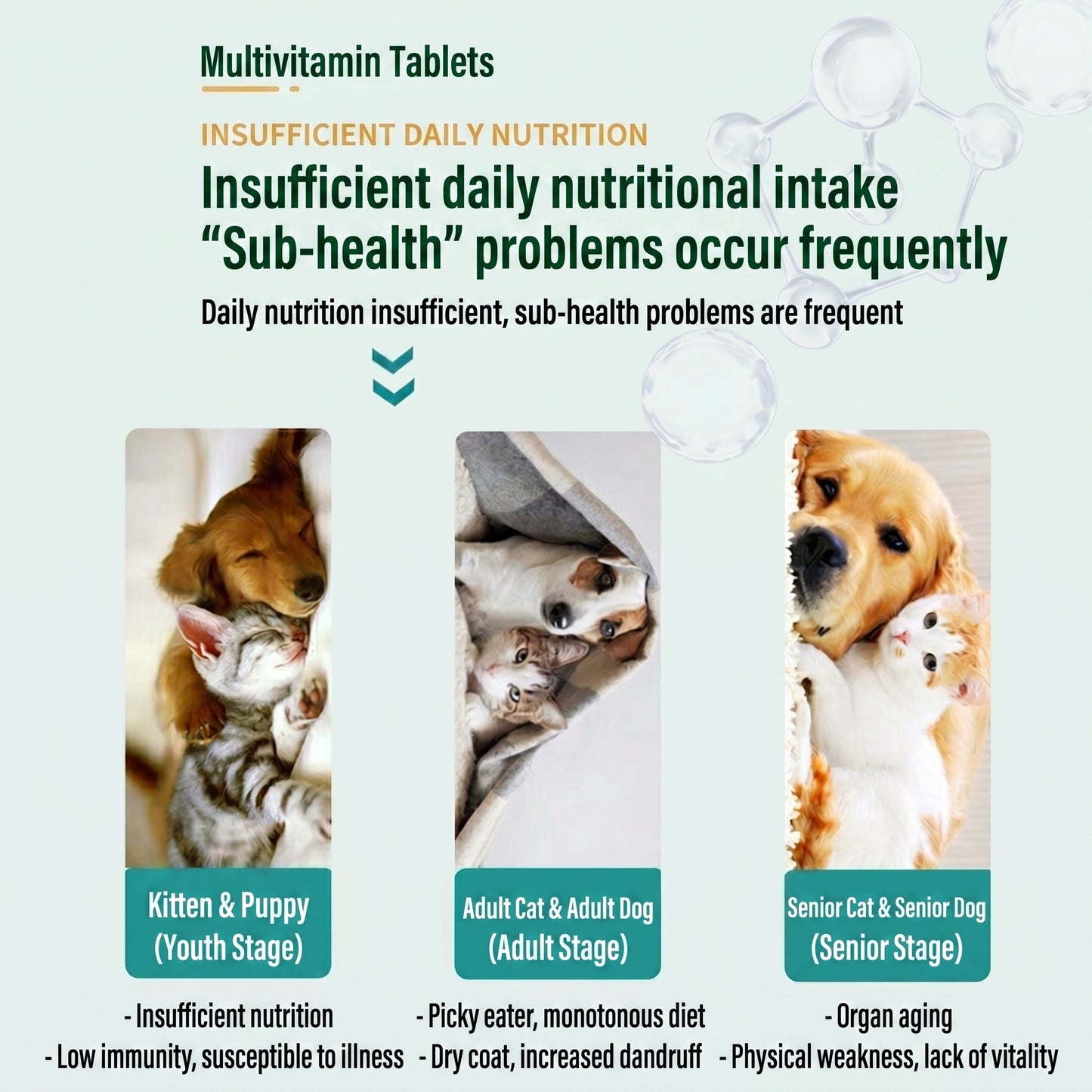 Multifunctional Pet Vitamins for Dogs & Cats