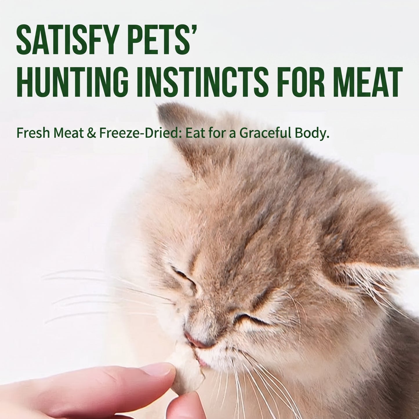 Freeze-Dried Fresh Breath Nutrition Cubes for Dogs & Cats