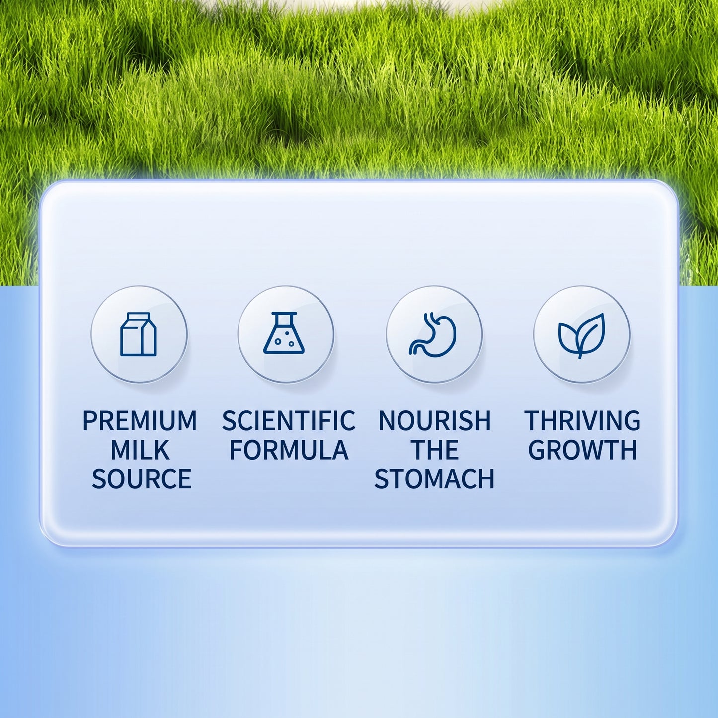 Pet Formula Goat Milk Powder for Dogs & Cats
