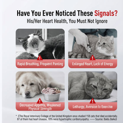 Neurocat CoQ10 Heart Health Supplement for Cats & Dogs